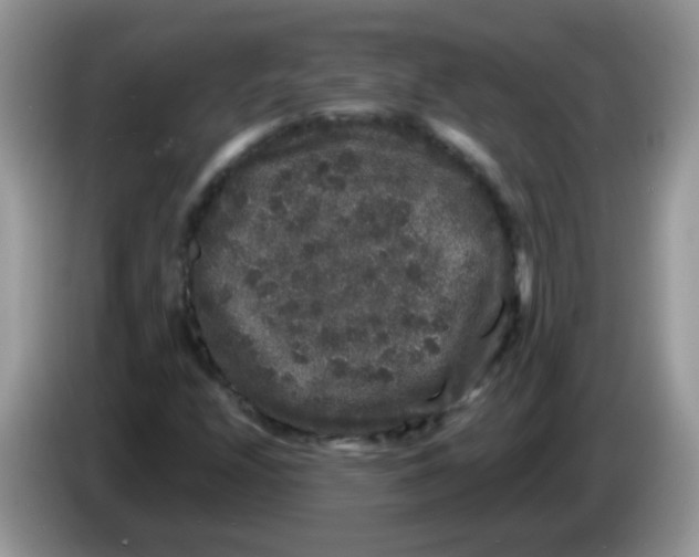 X0000086261208200704261949