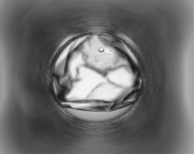 X0000086261212200704261949