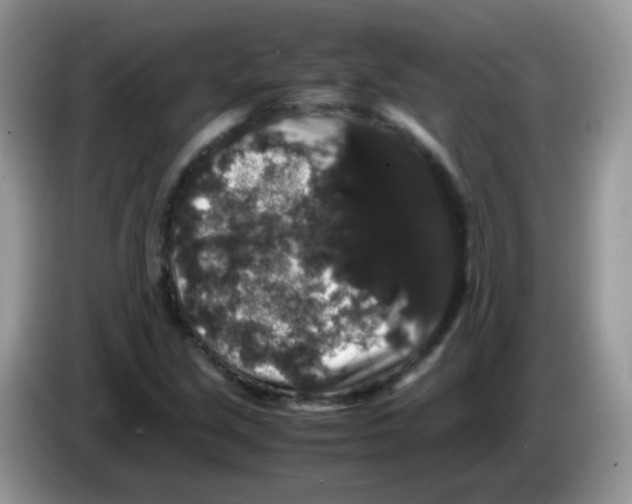 X0000086261213200704261949