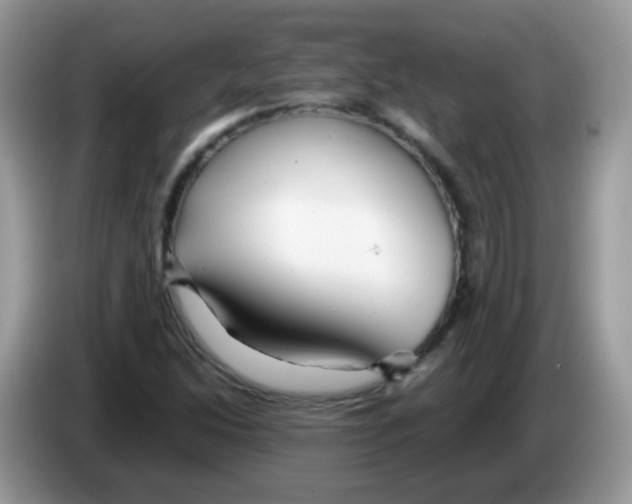 X0000086261214200704261949