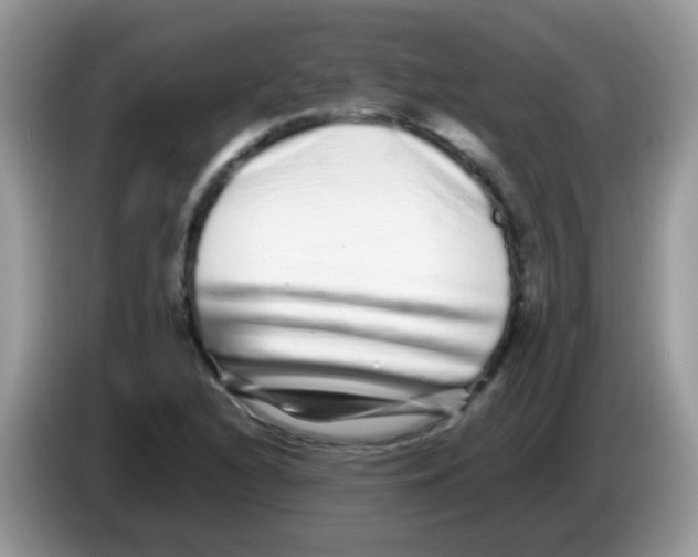 X0000086261216200704261949