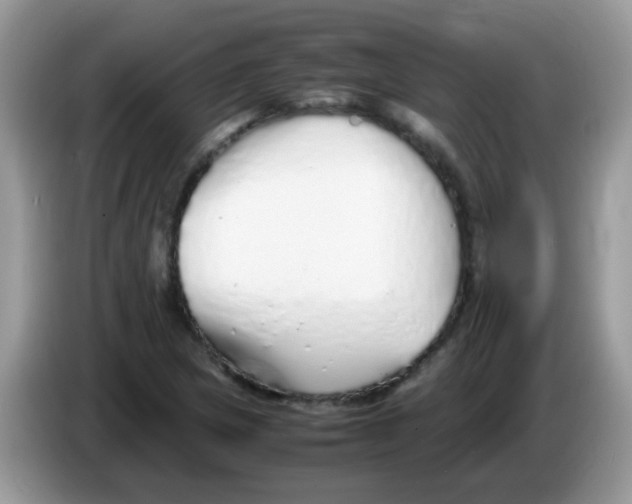 X0000086261217200704261949