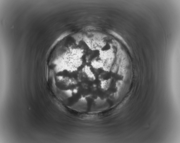 X0000086261219200704261949