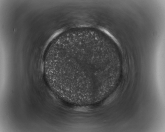 X0000086261221200704261949