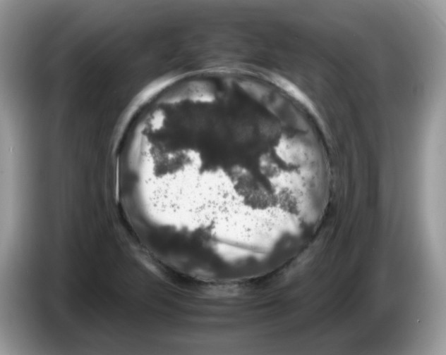 X0000086261223200704261949