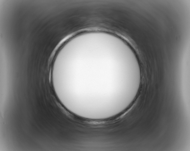 X0000086261224200704261949