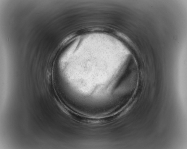 X0000086261225200704261949