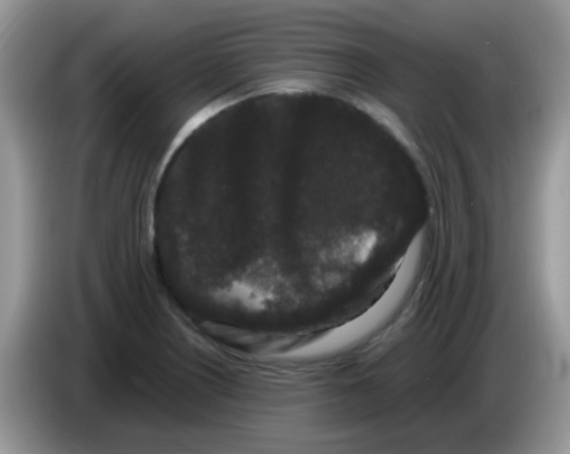 X0000086261226200704261949