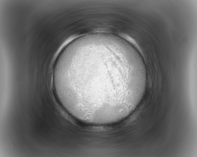 X0000086261227200704261949