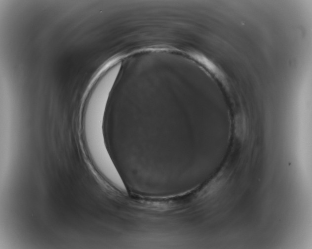 X0000086261229200704261949