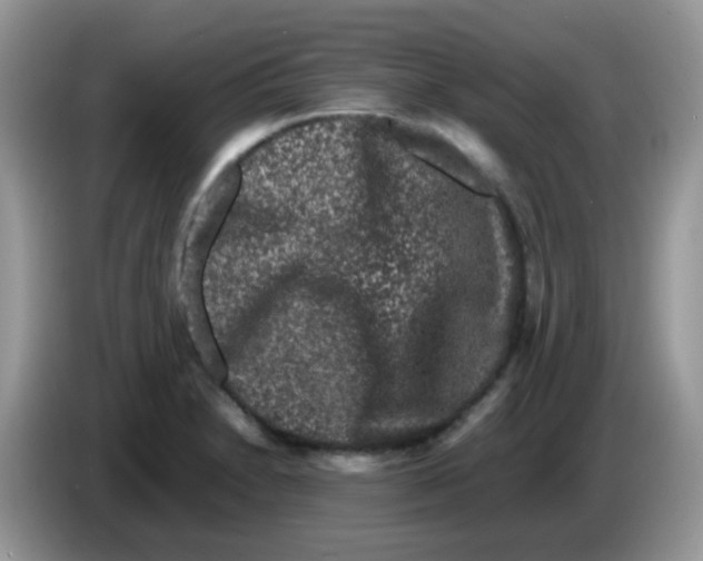 X0000086261230200704261949