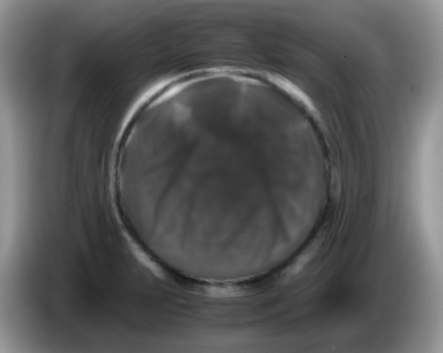 X0000086261231200704261949