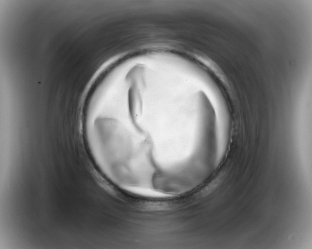 X0000086261232200704261949