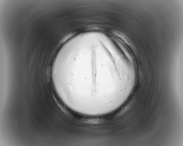 X0000086261233200704261949