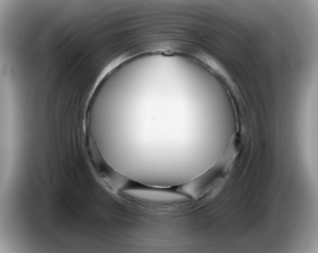 X0000086261234200704261949