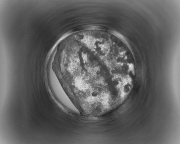 X0000086261235200704261949