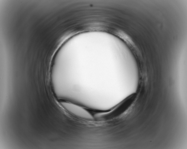 X0000086261236200704261949