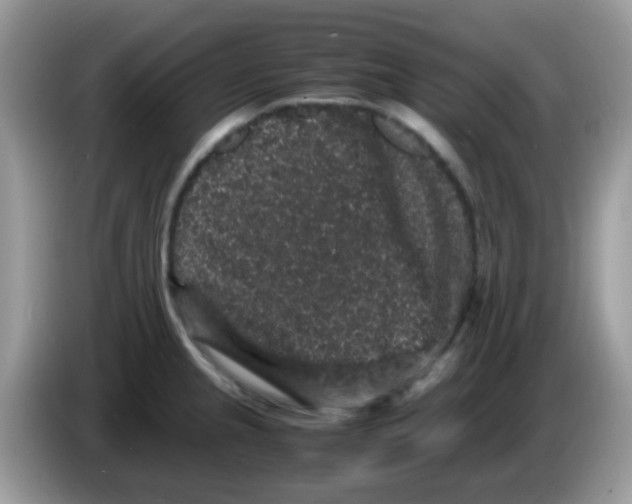 X0000086261237200704261949