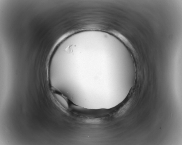 X0000086261238200704261949