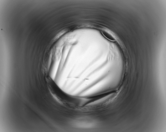 X0000086261241200704261949