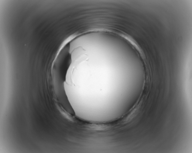 X0000086261242200704261949