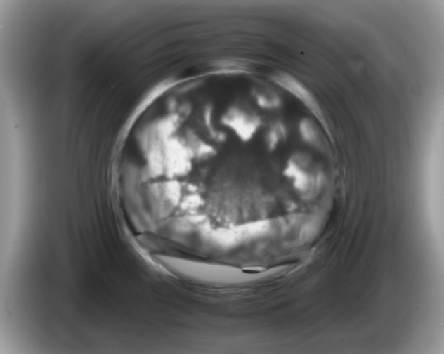 X0000086261243200704261949