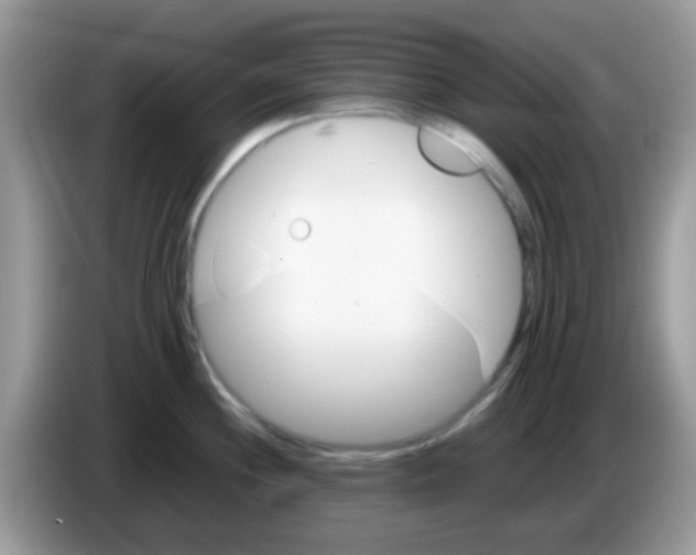 X0000086261244200704261949