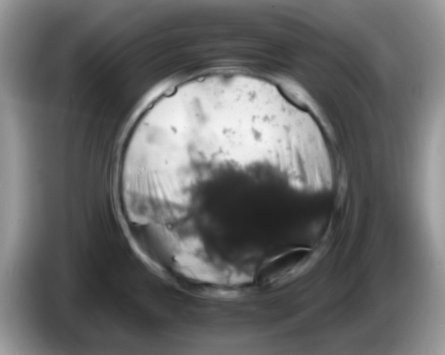 X0000086261245200704261949