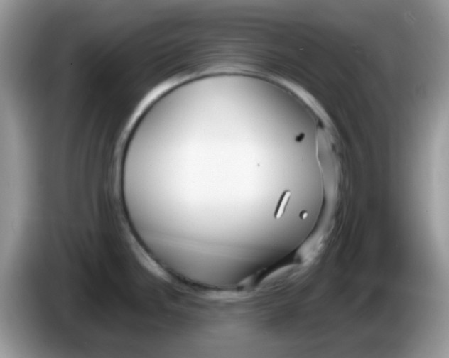 X0000086261246200704261949