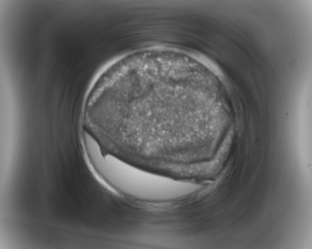 X0000086261247200704261949