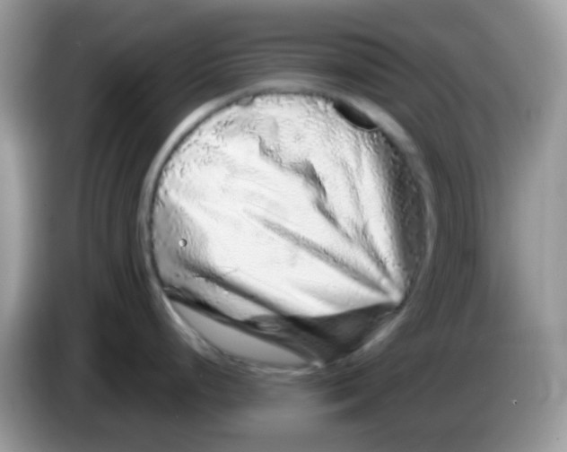 X0000086261248200704261949