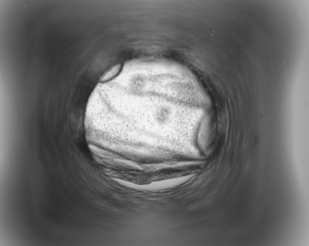 X0000086261251200704261949