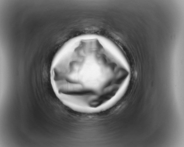 X0000086261252200704261949