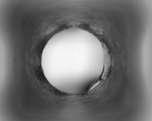 X0000086261253200704261949