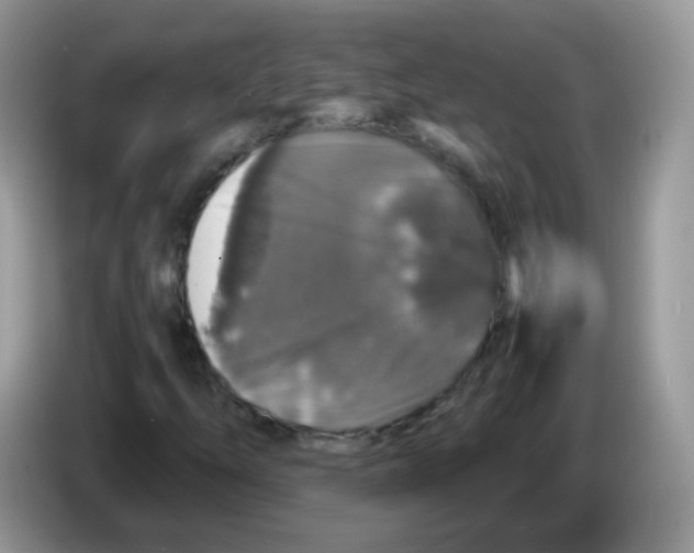 X0000086261254200704261949