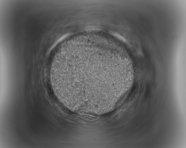 X0000086261255200704261949