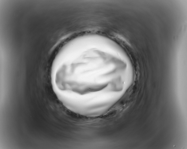 X0000086261256200704261949