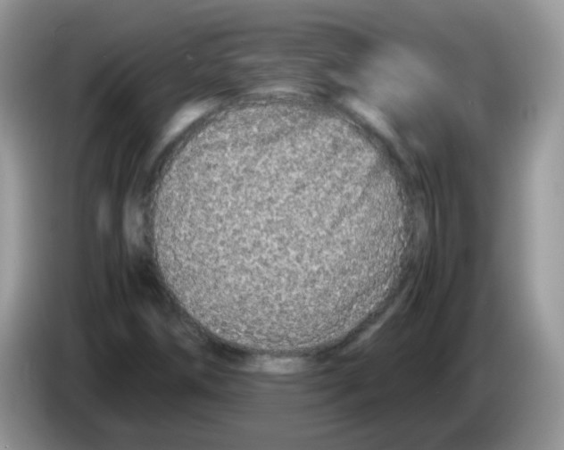 X0000086261258200704261949