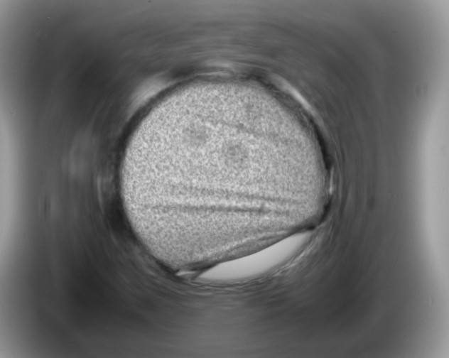 X0000086261259200704261949