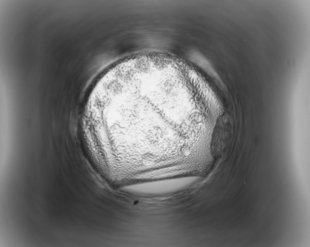 X0000086261260200704261949