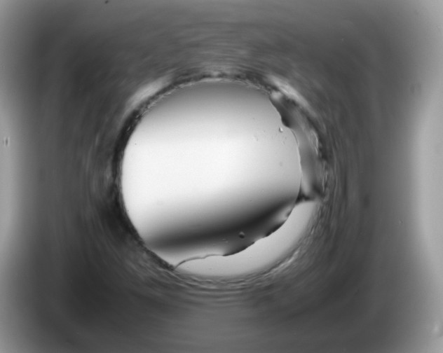 X0000086261261200704261949