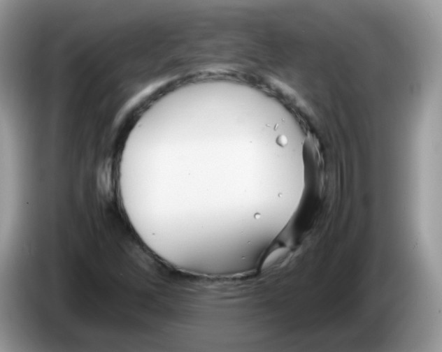 X0000086261262200704261949