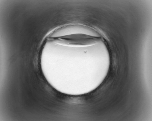 X0000086261264200704261949