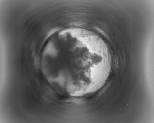 X0000086261266200704261949