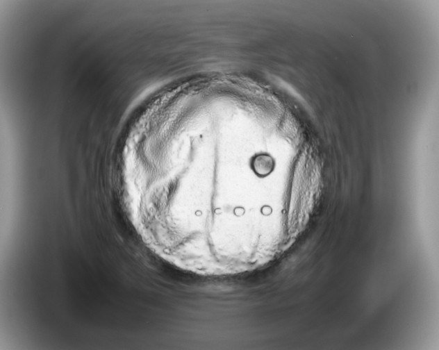 X0000086261267200704261949