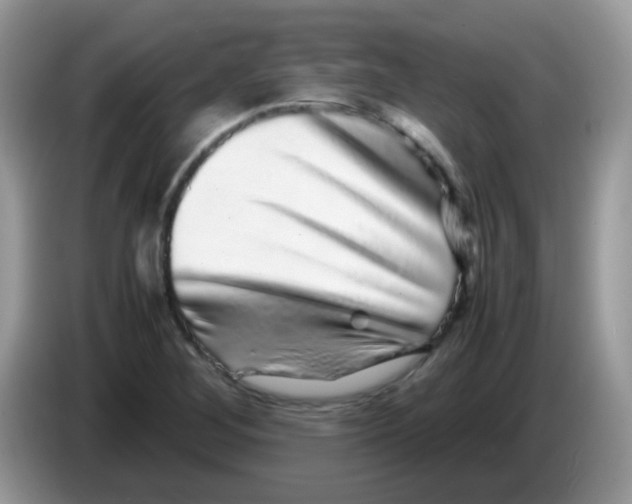 X0000086261268200704261949