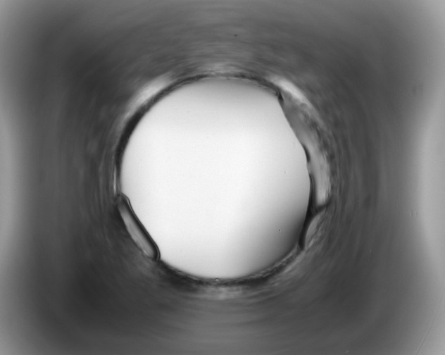 X0000086261269200704261949