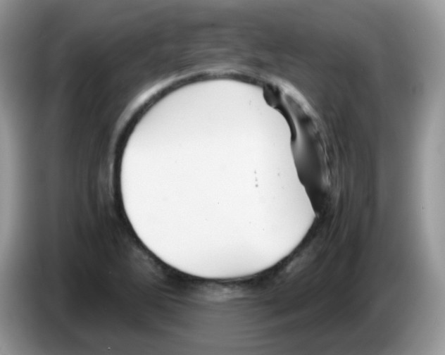 X0000086261270200704261948