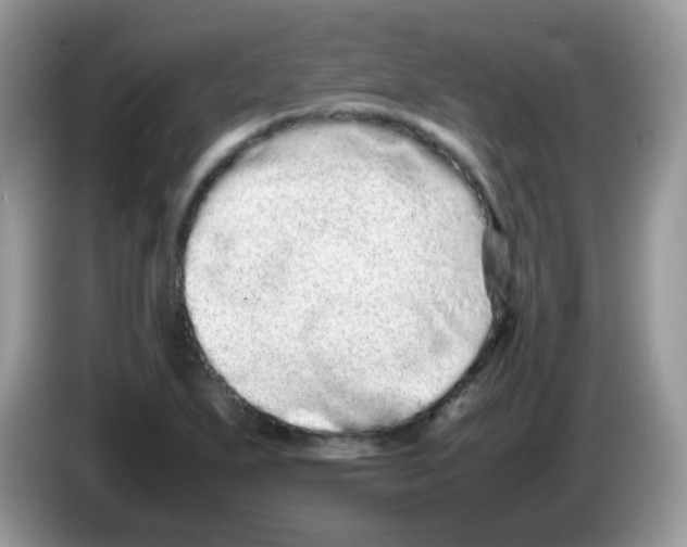 X0000086261271200704261948