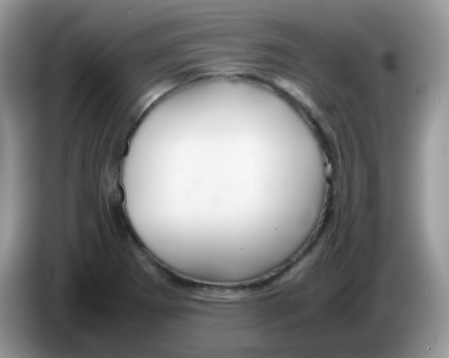 X0000086261273200704261948